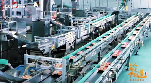 官方荣誉再添华章，洽洽入选新华社民族品牌工程网络工程